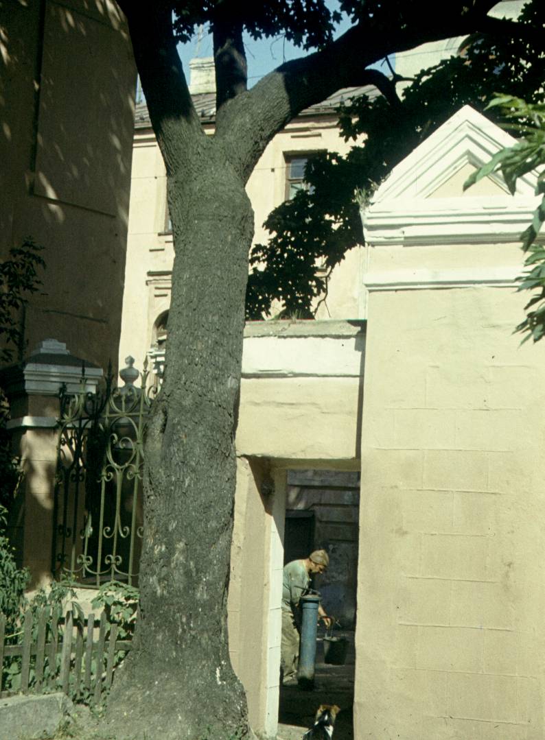 266-1.jpg
