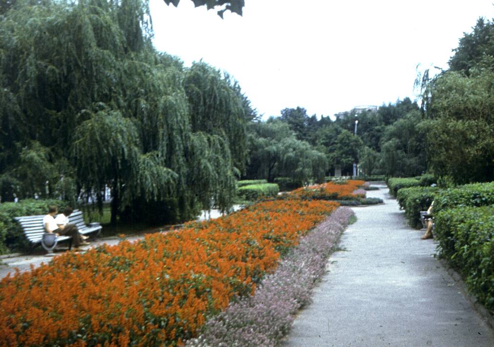 276.jpg