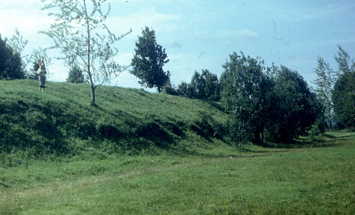 215.jpg