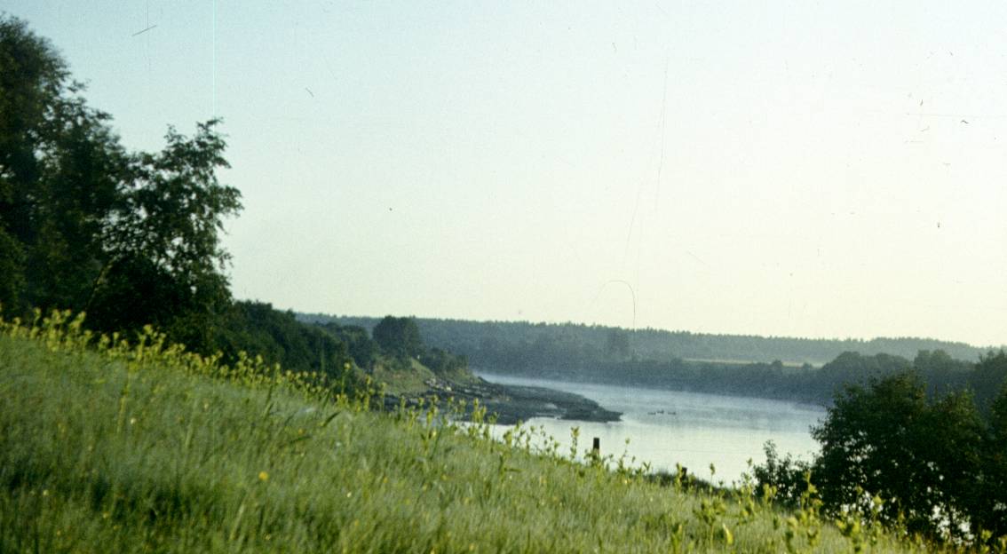 220.jpg
