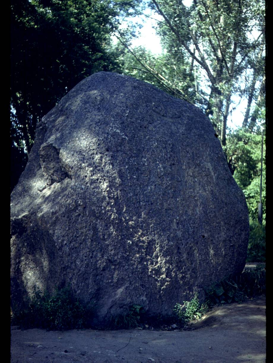 222.jpg