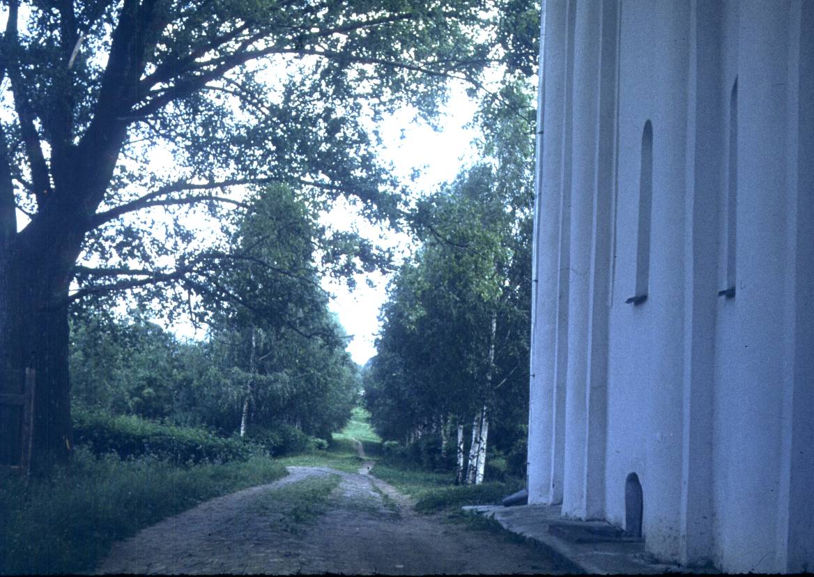 243.jpg