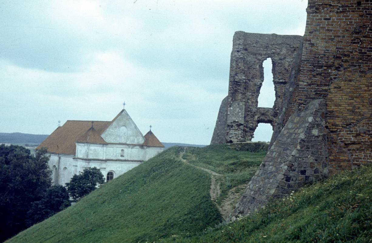 255.jpg