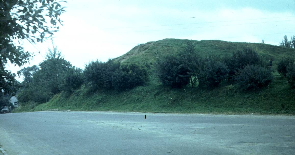 261.jpg