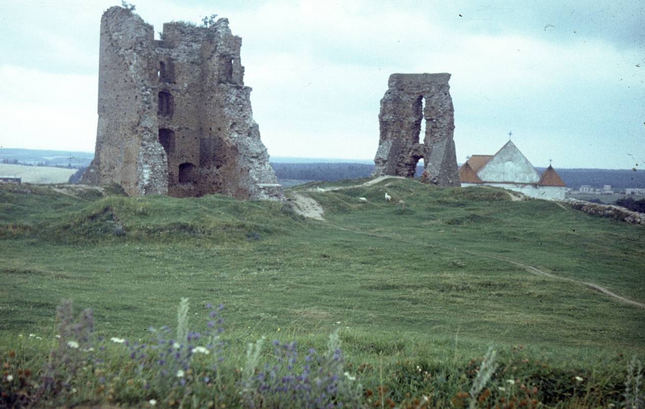 263.jpg