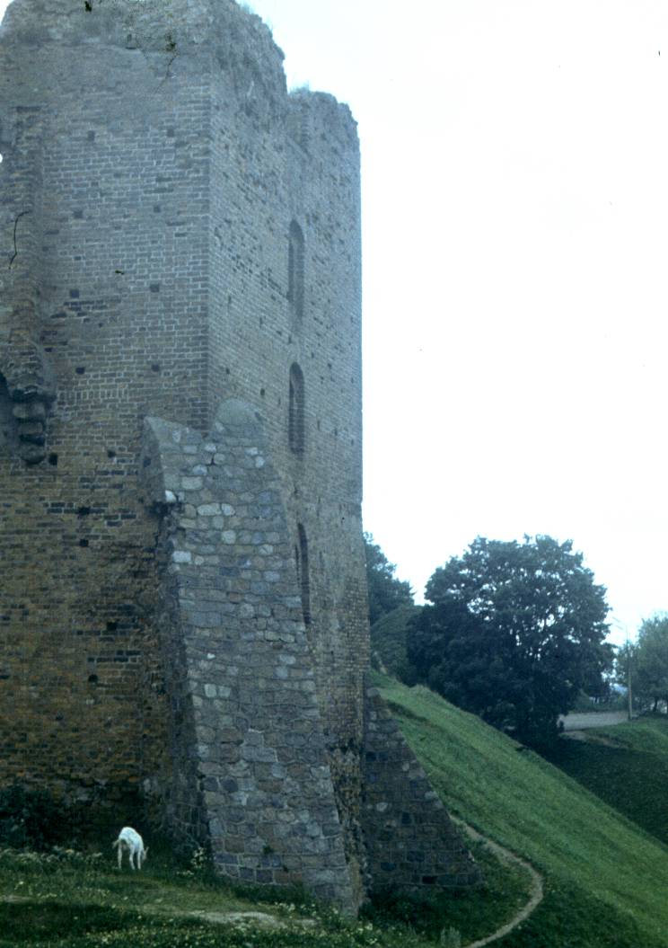 264.jpg