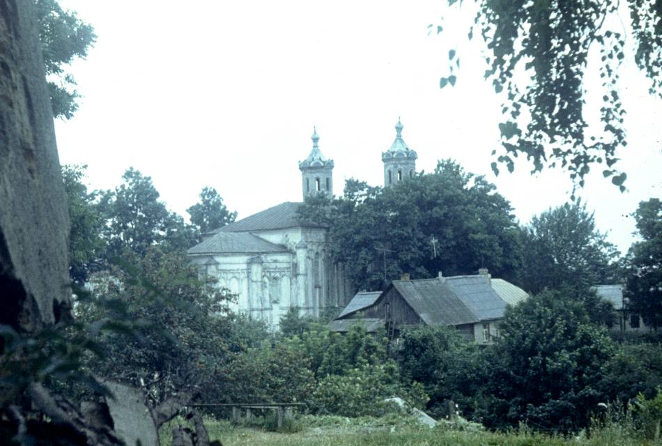 267.jpg