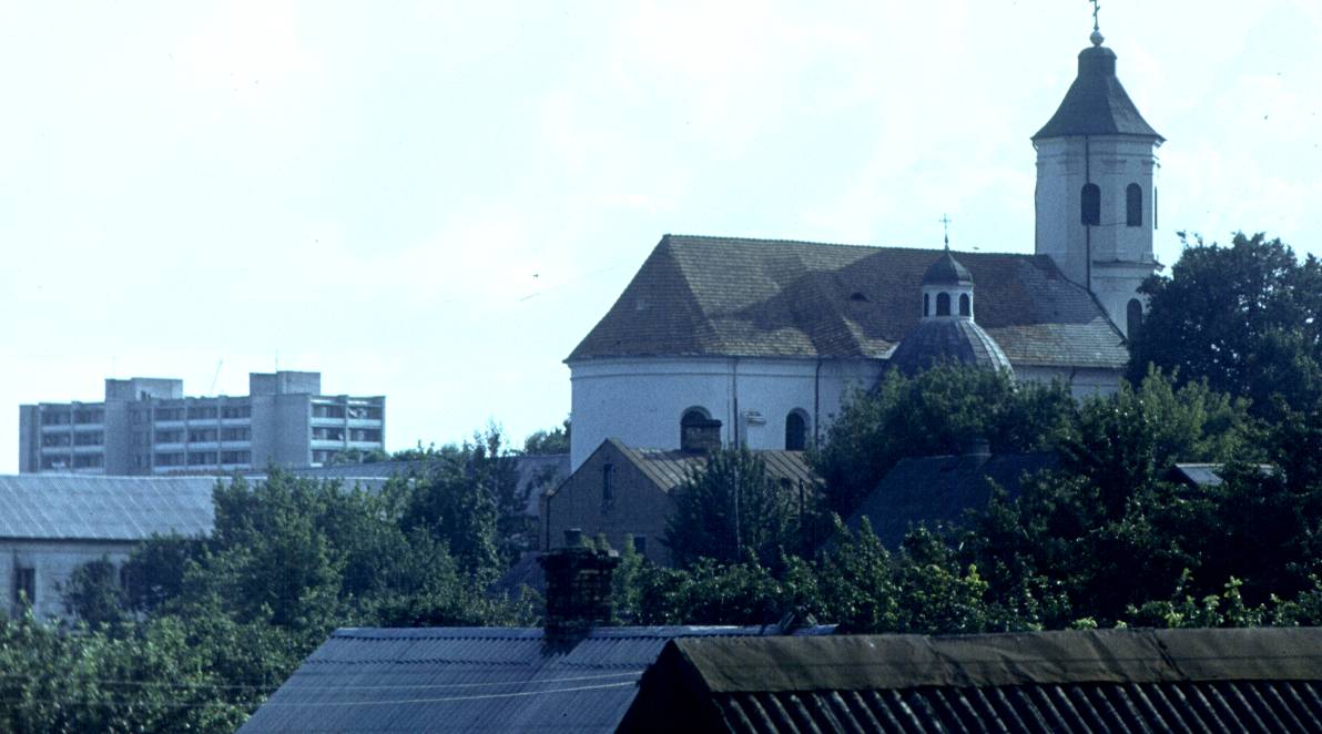 377.jpg