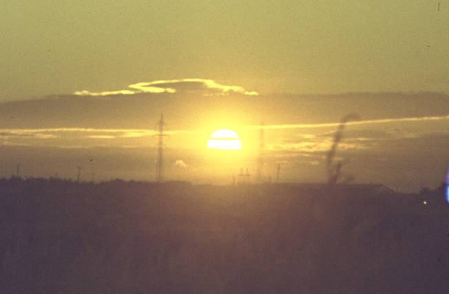 010.jpg