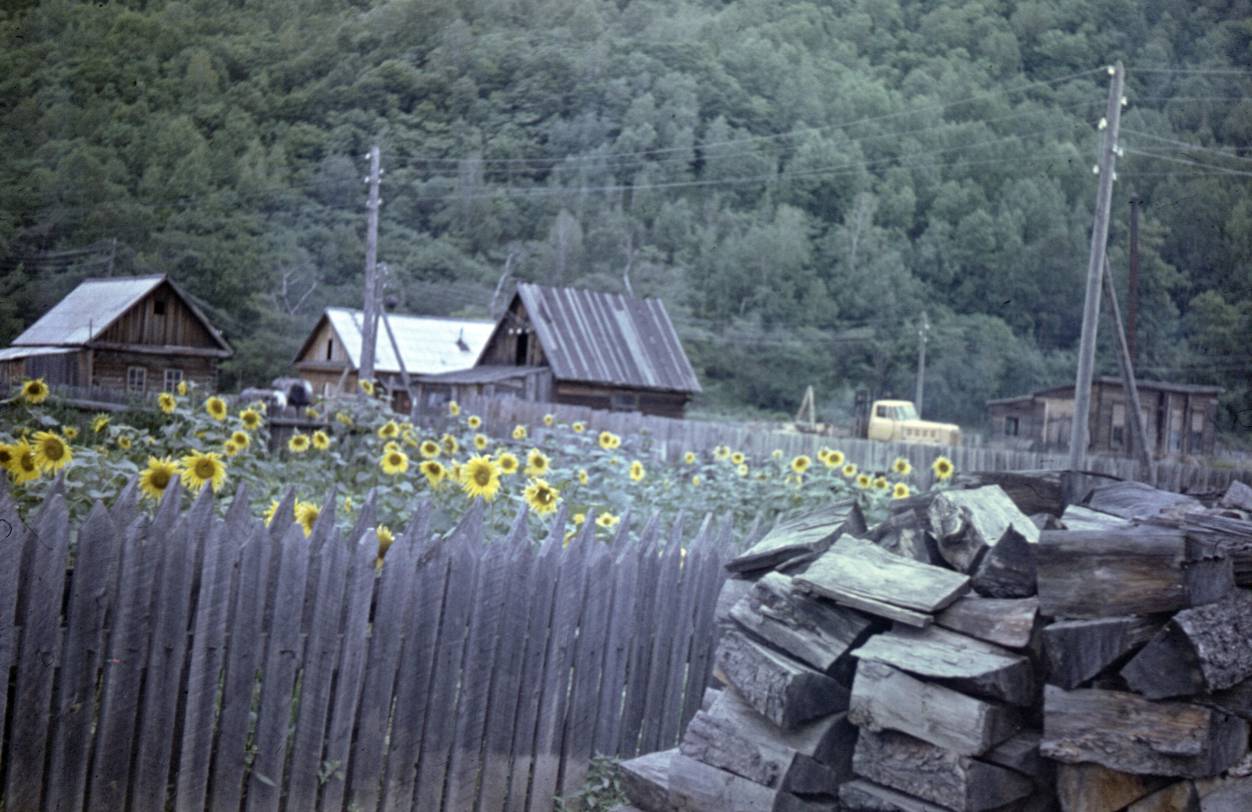 103.jpg