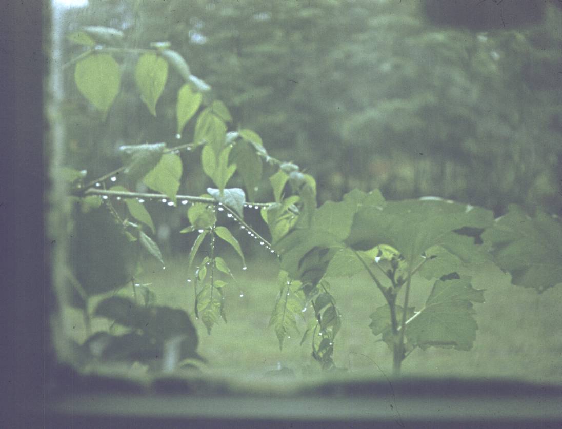 117.jpg