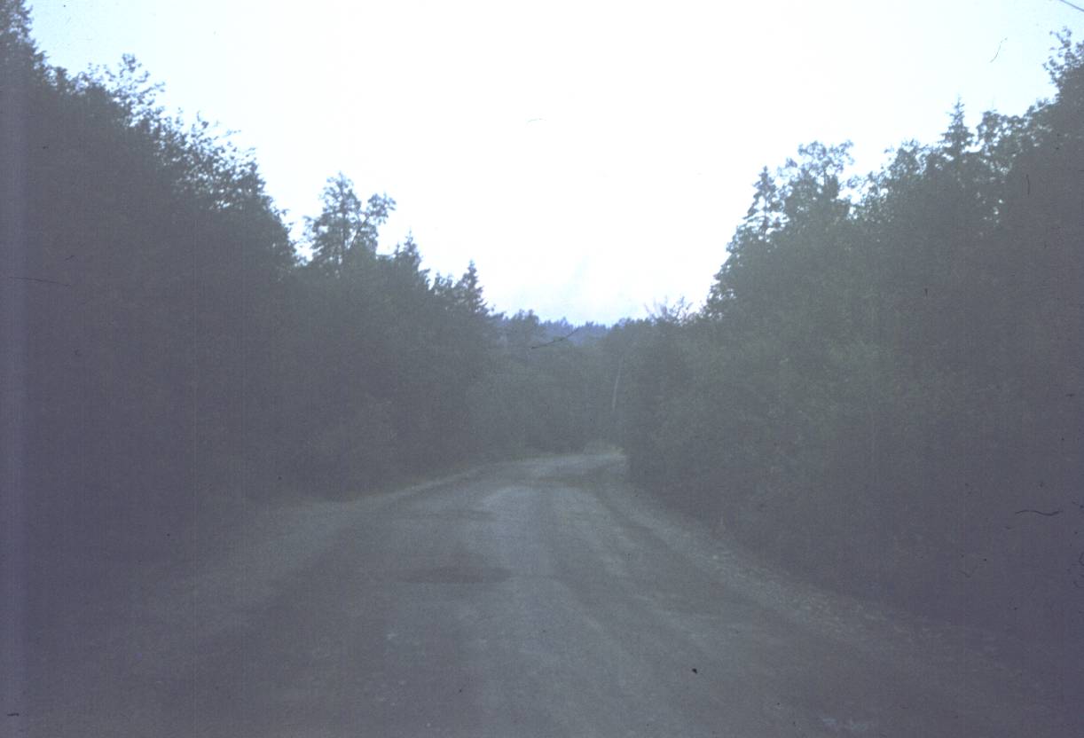 139.jpg