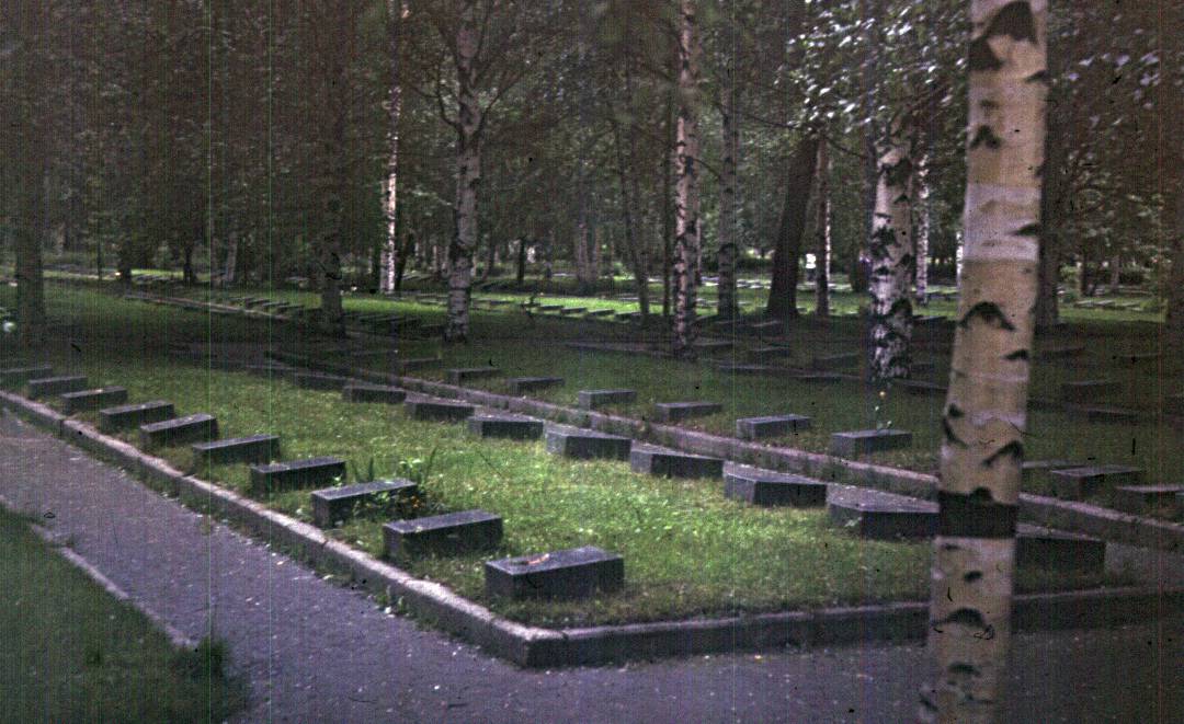 031.jpg