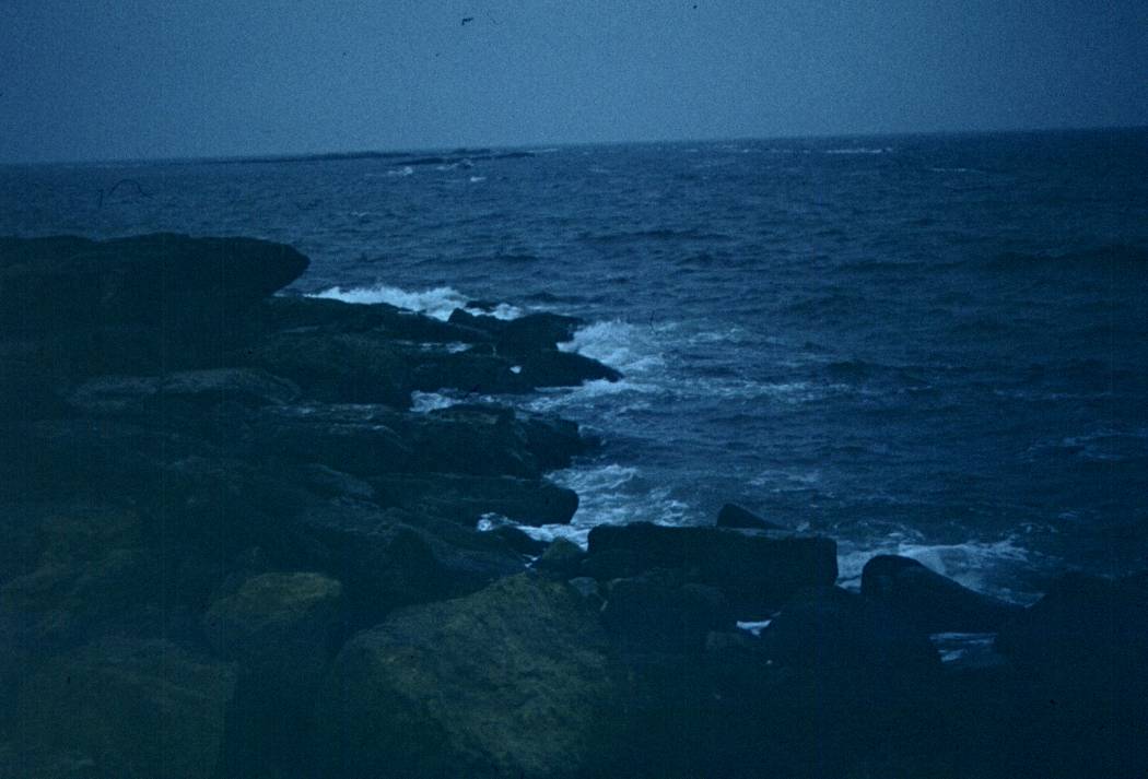 022.JPG