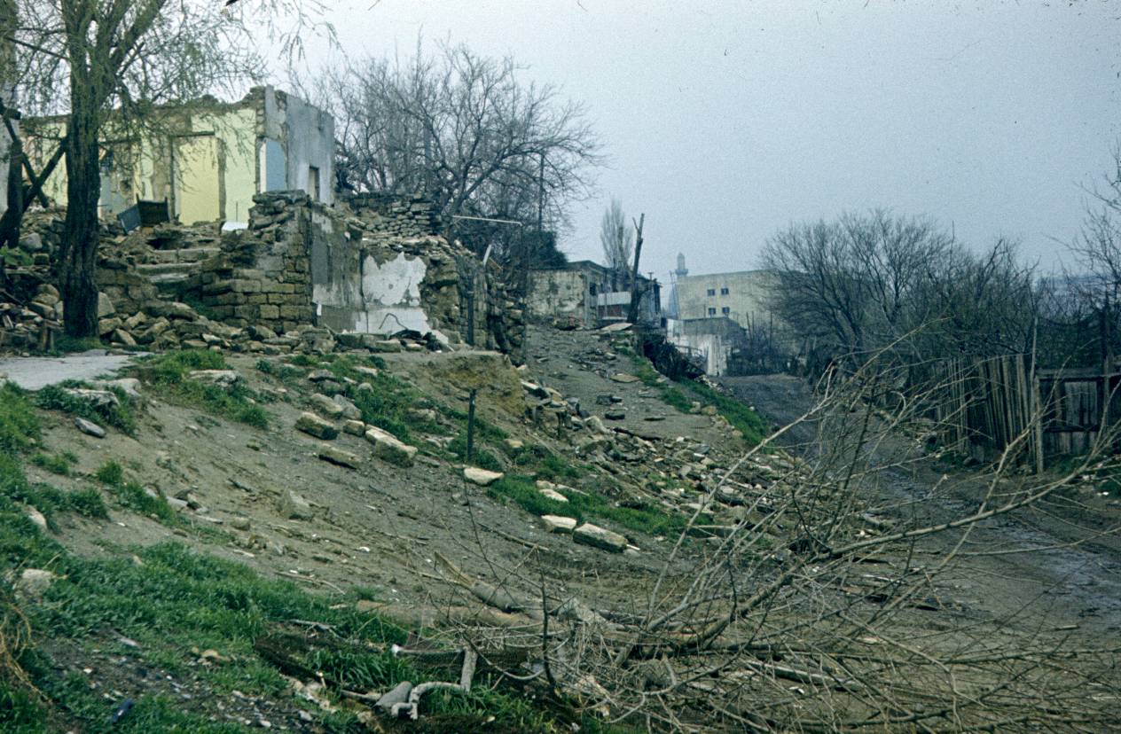 030.JPG