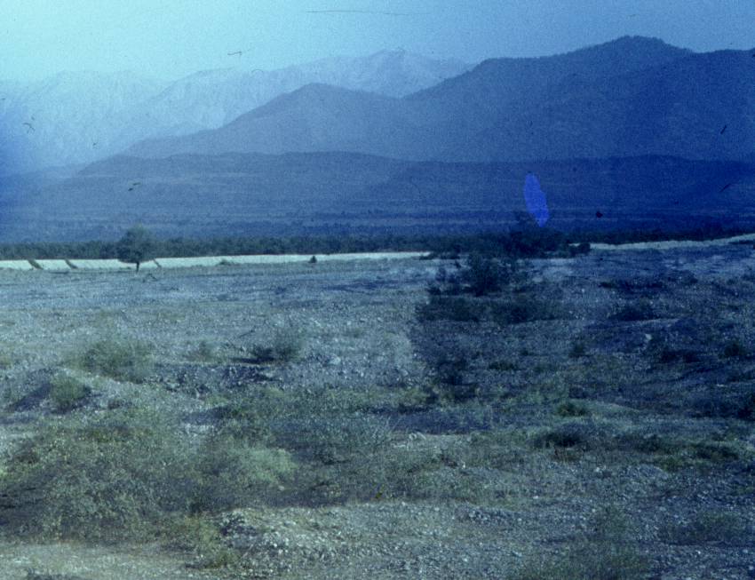 125.JPG