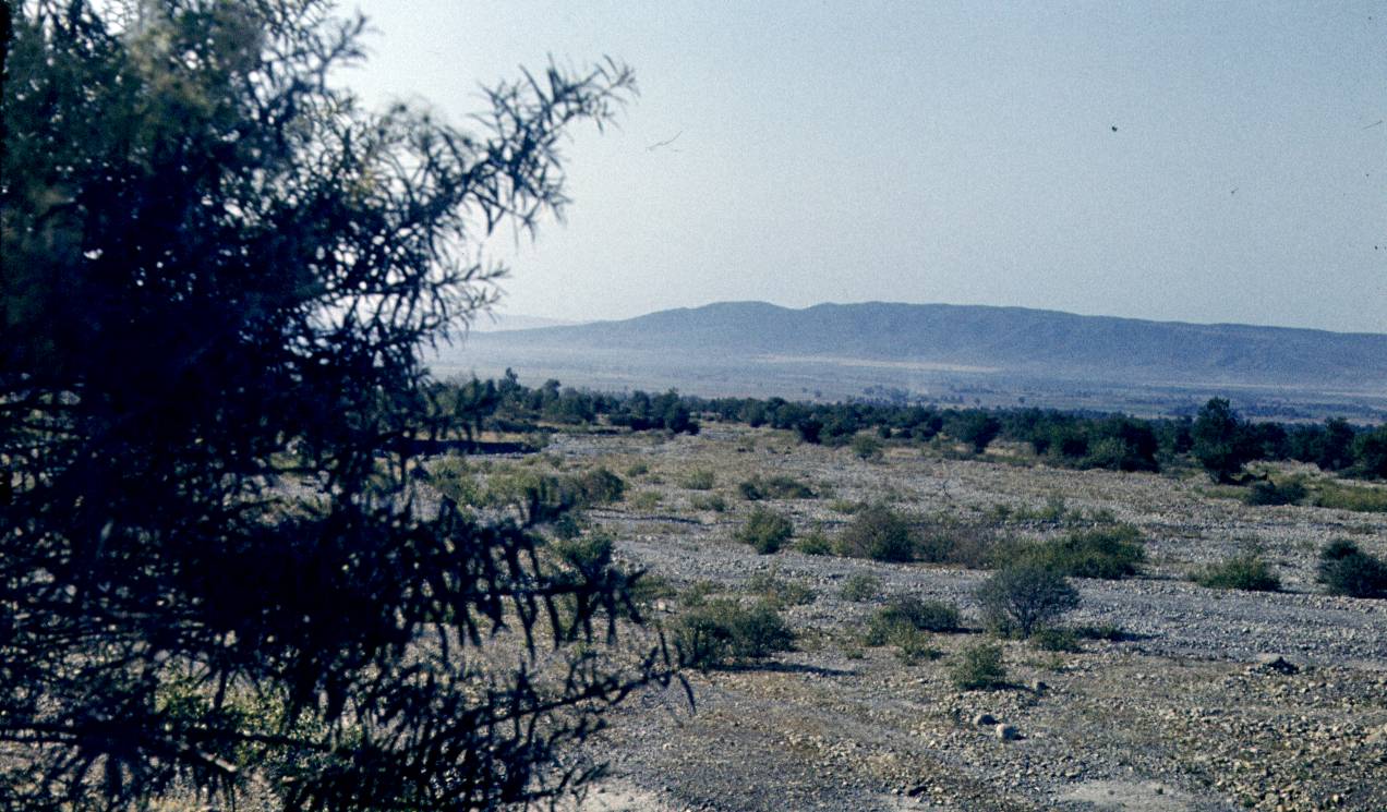 127.JPG