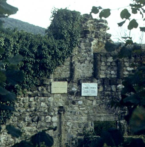 155-1.JPG