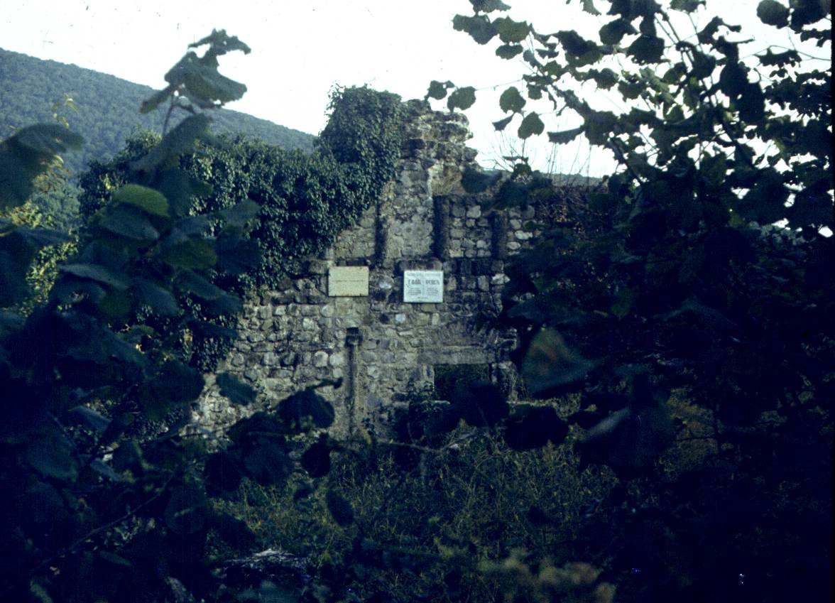 155.JPG