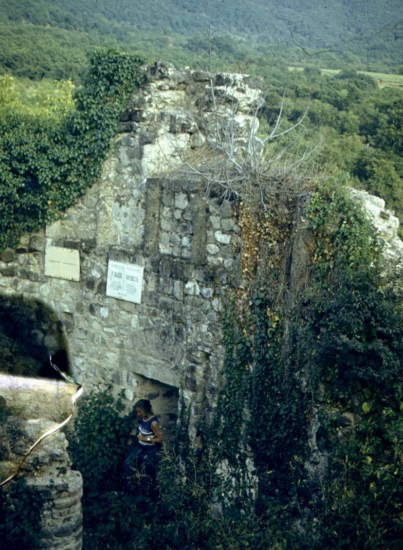 156.JPG