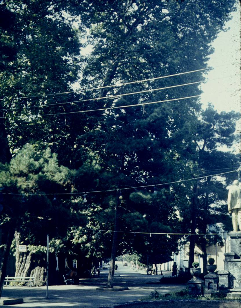 171-1.JPG