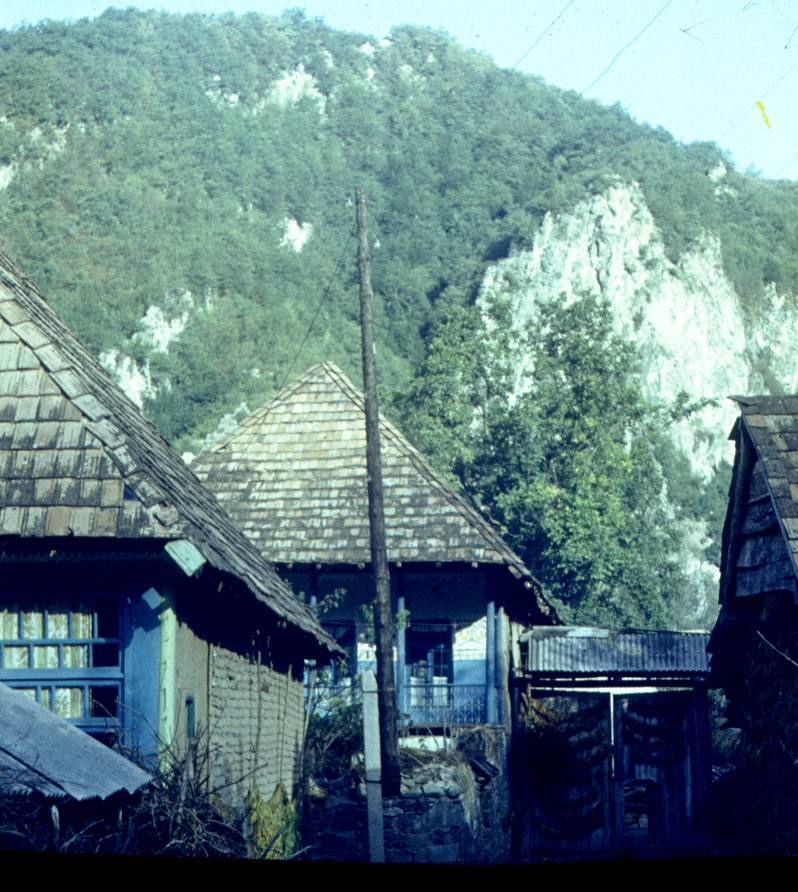 185.jpg