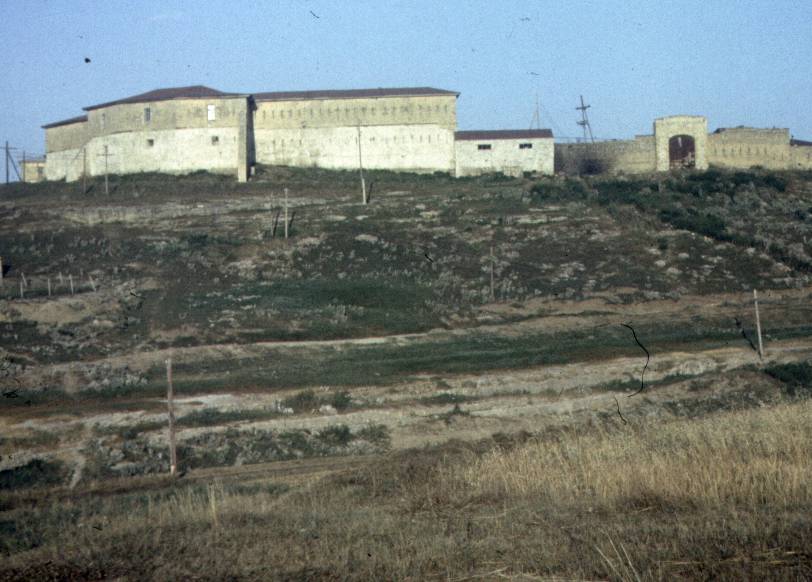 113-1.JPG