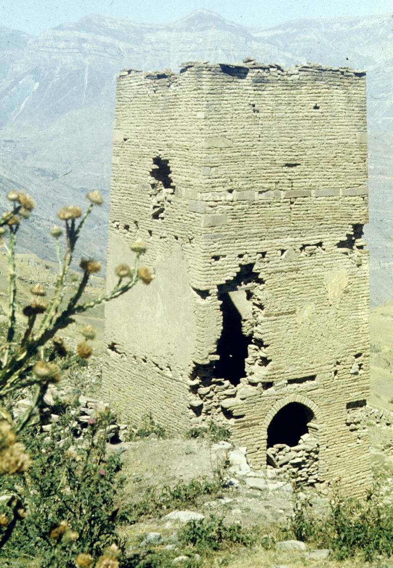 119-2.JPG
