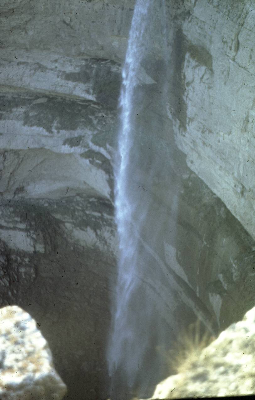 121.JPG