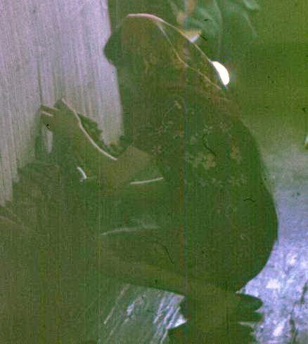 127-1.jpg
