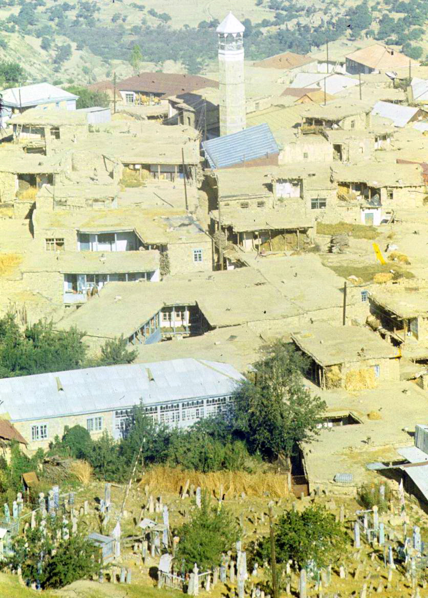 167.jpg