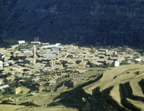 174-1.jpg