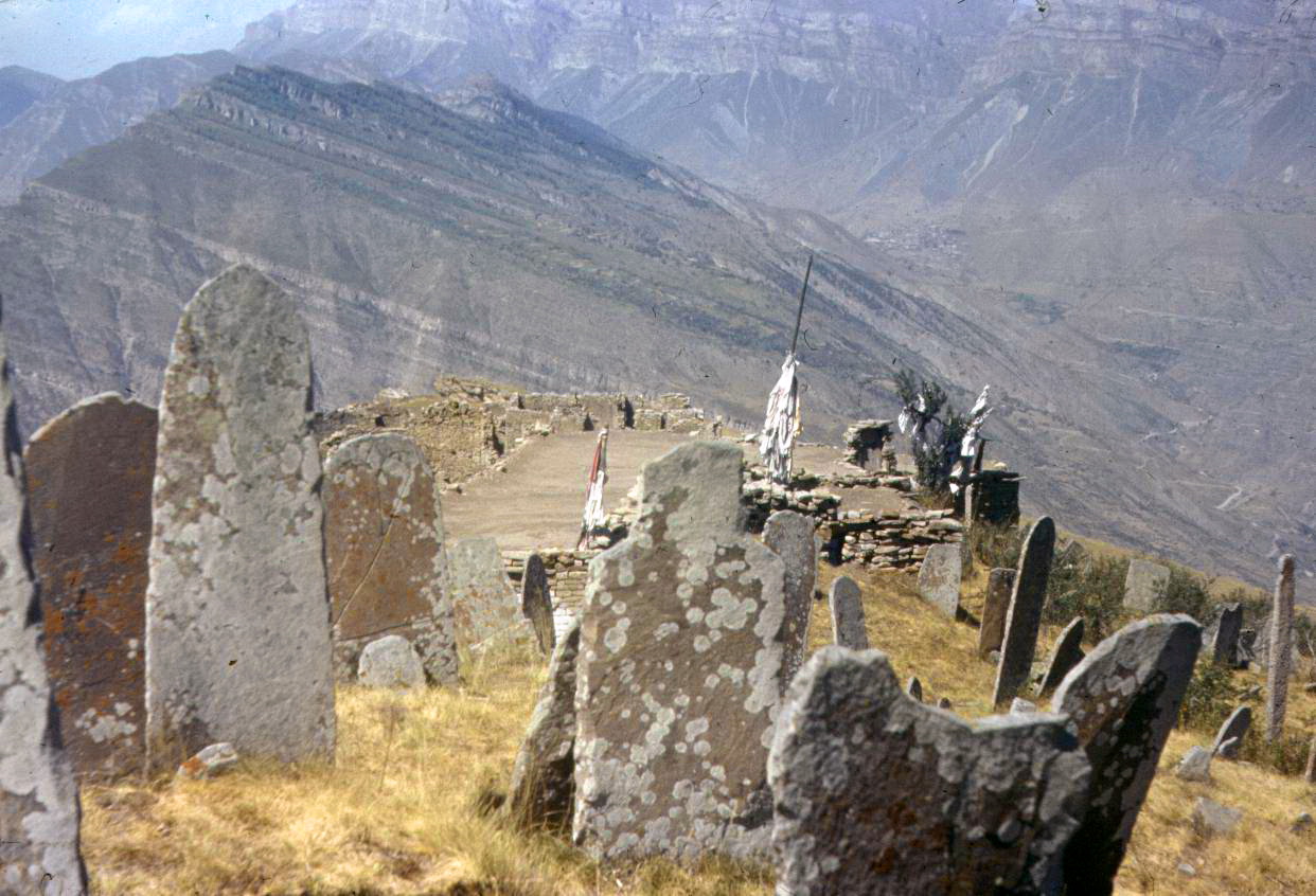 183.jpg