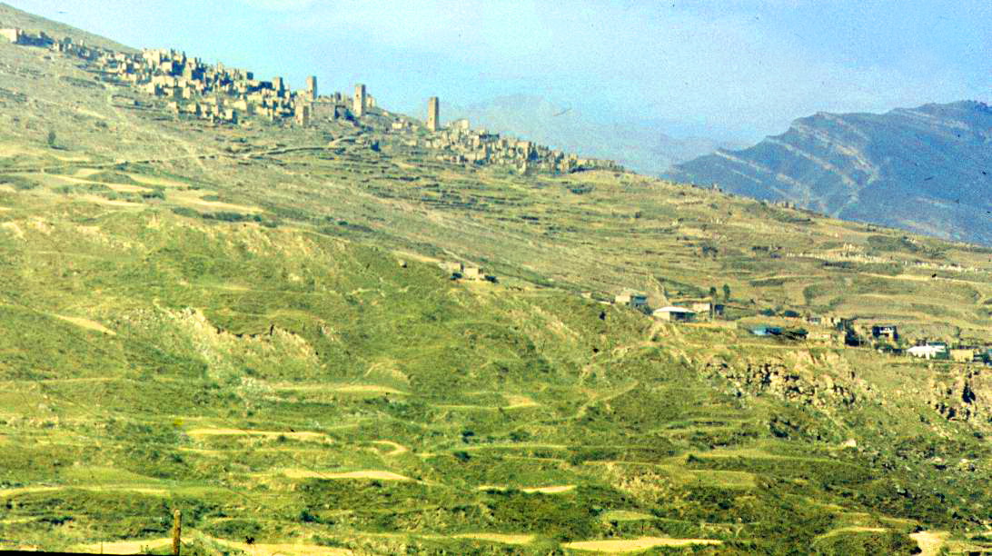 199.jpg