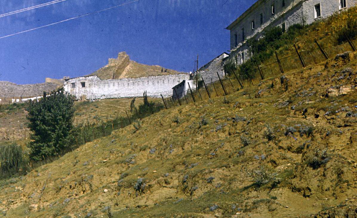209.jpg