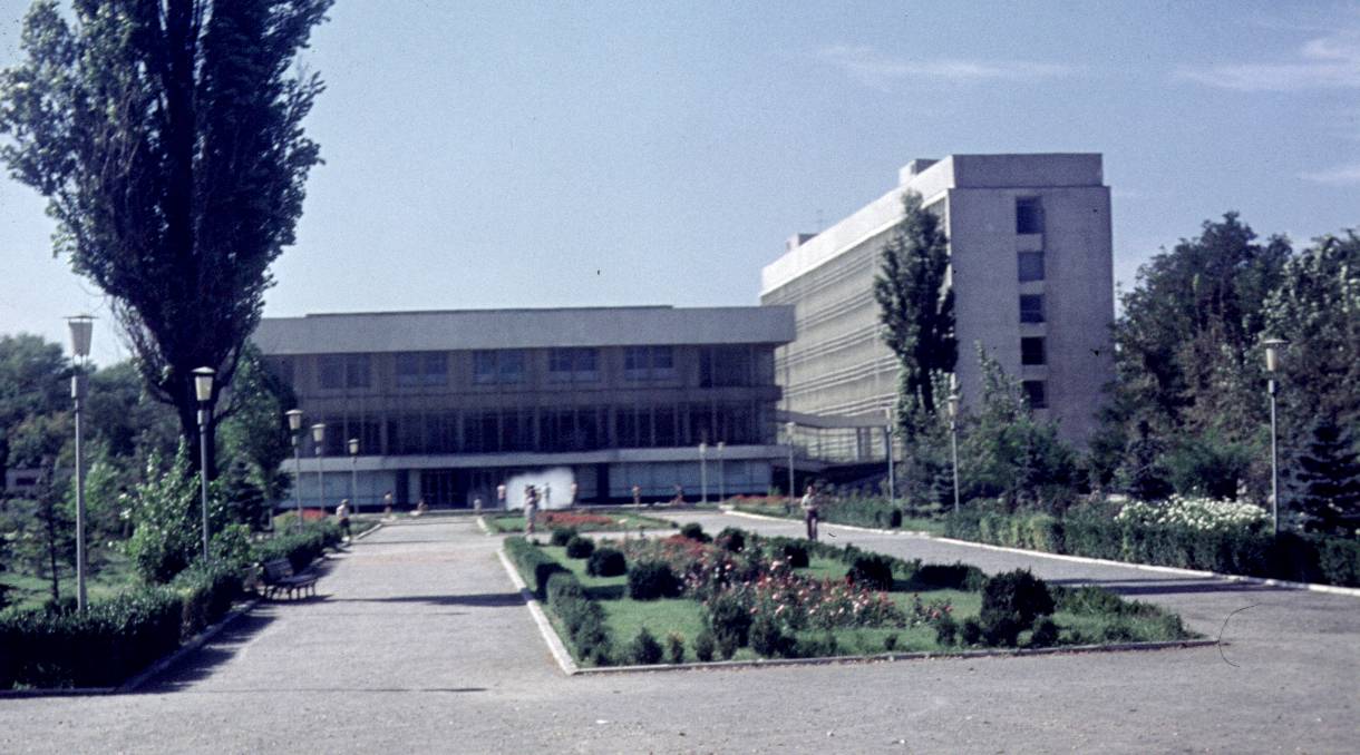 229.jpg