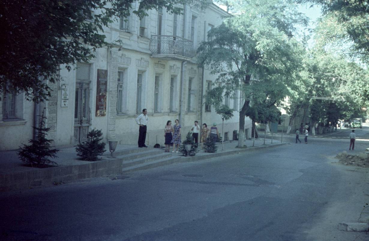 233.jpg