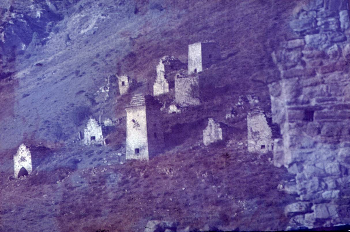 136.JPG