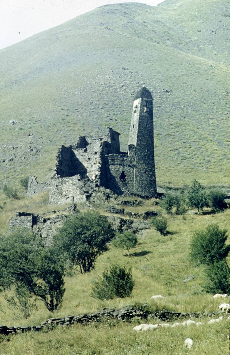 147.JPG