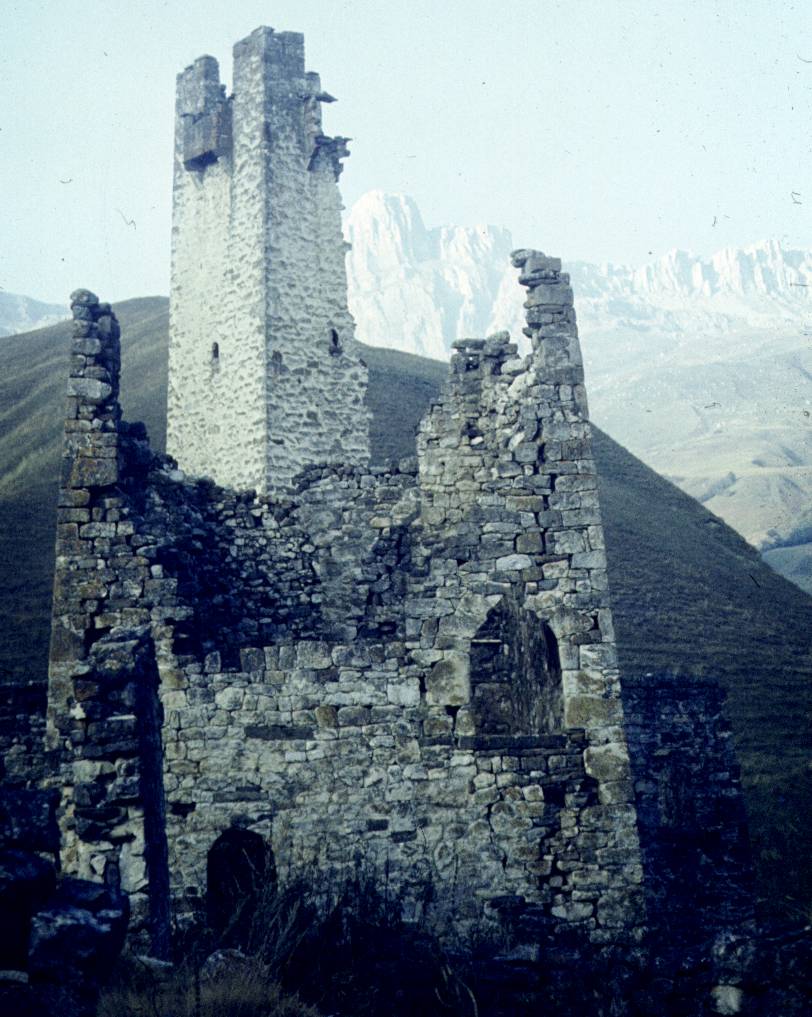 157.JPG