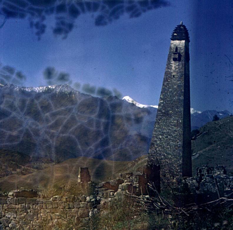 163.JPG