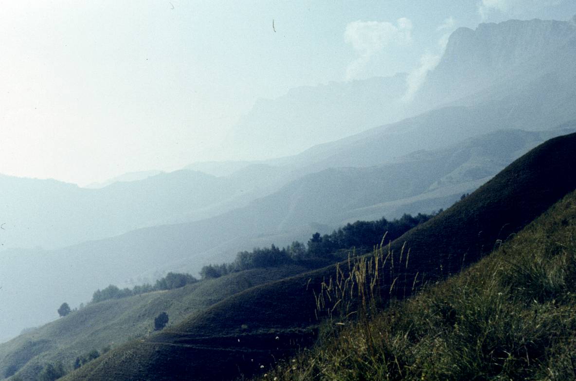 170.JPG