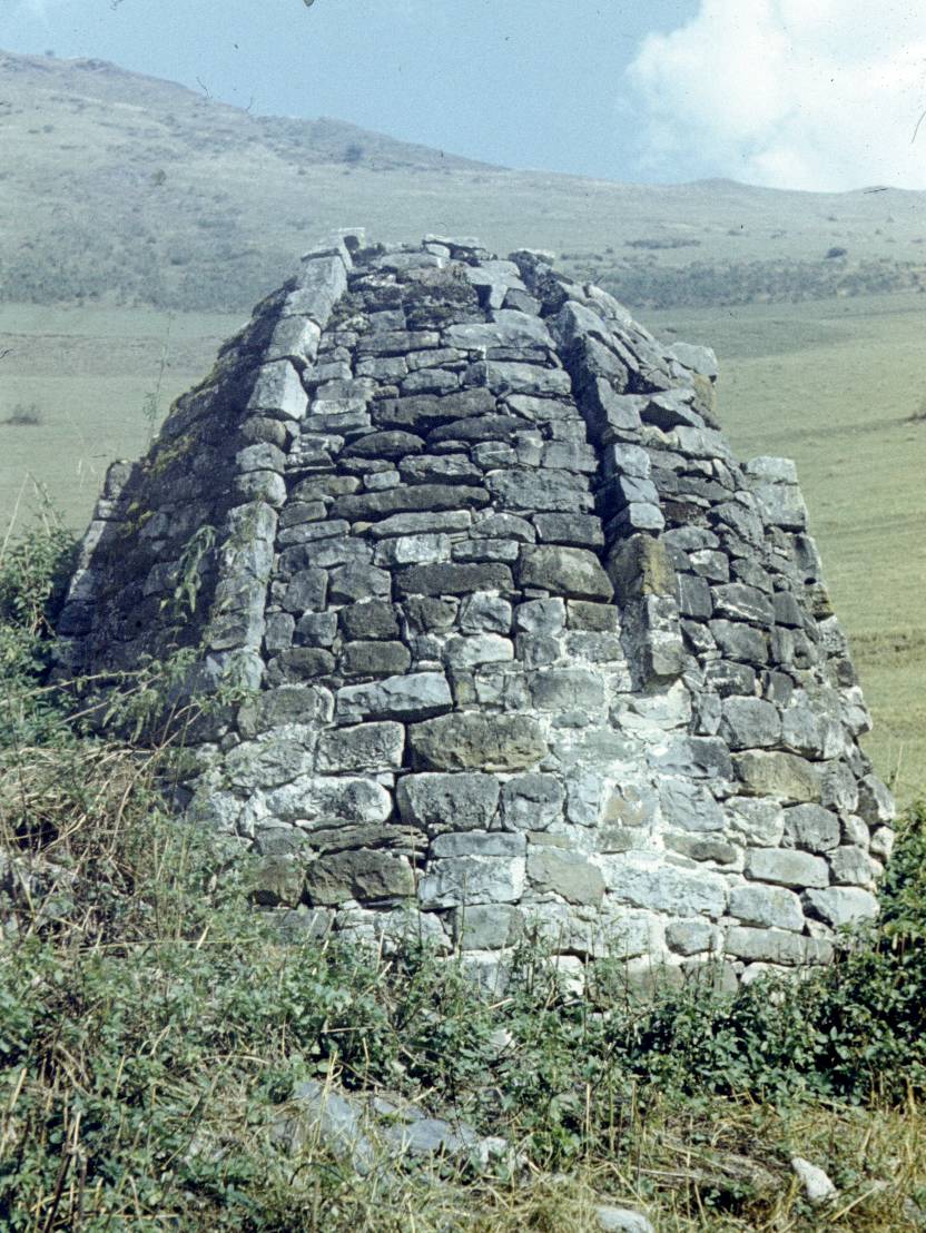 208.JPG