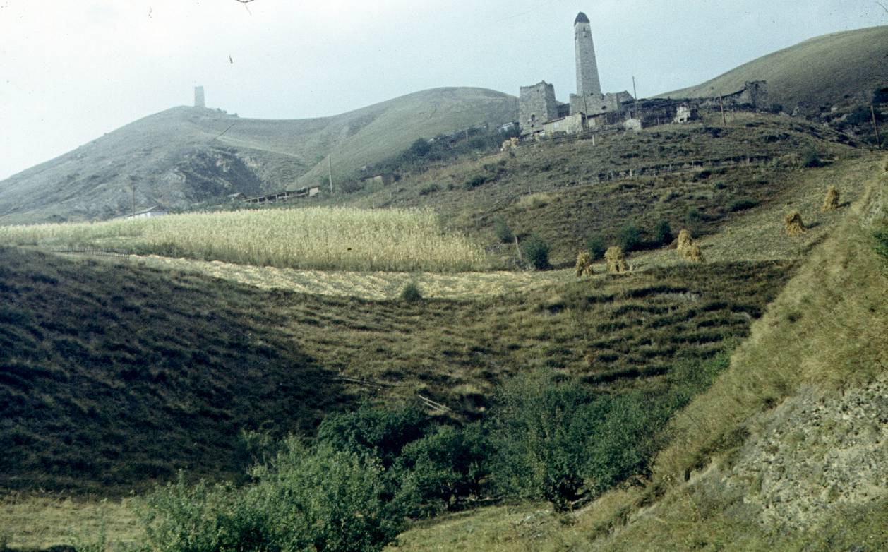 217.JPG