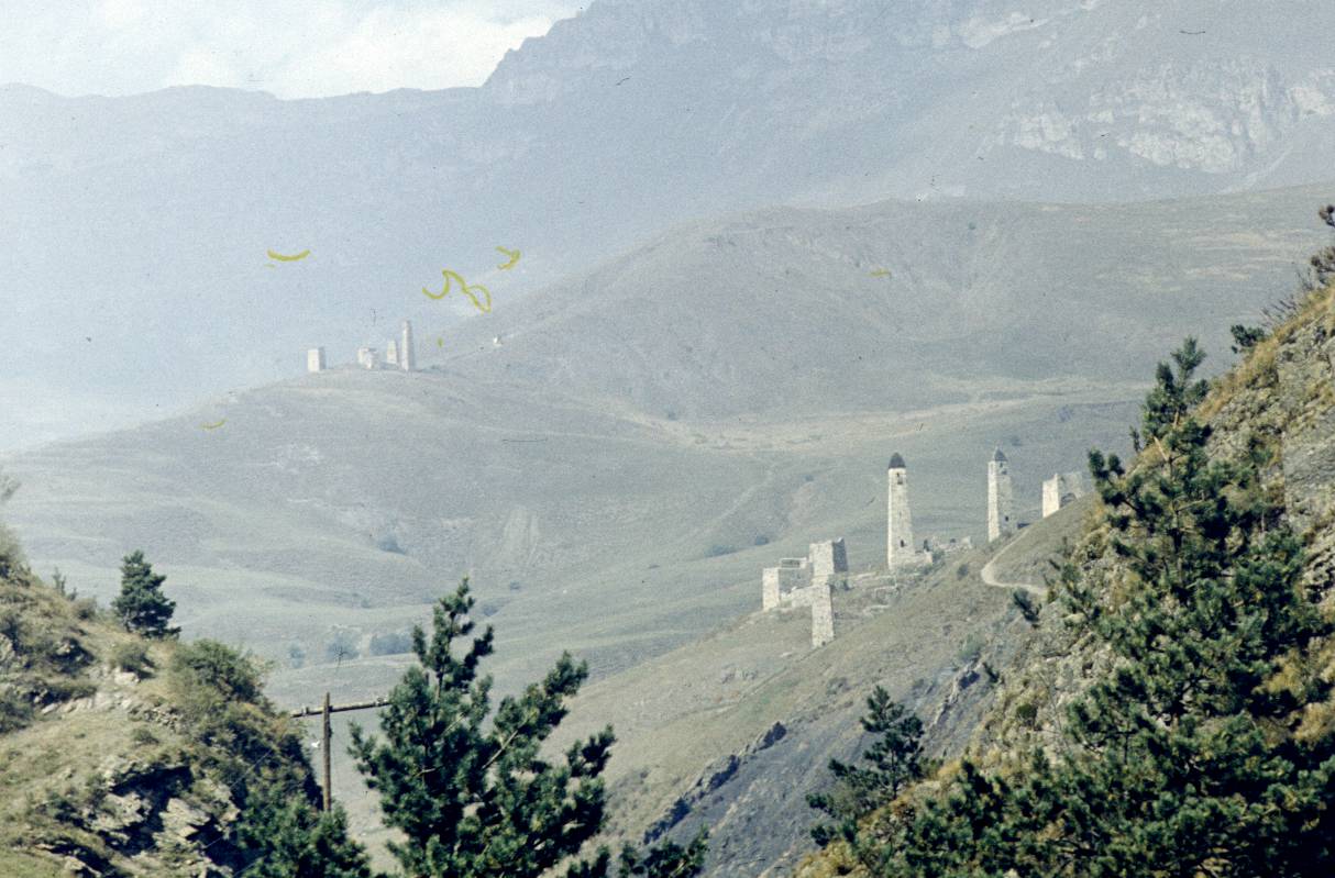 245.jpg