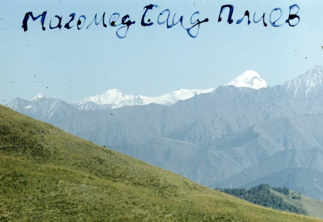 249.JPG