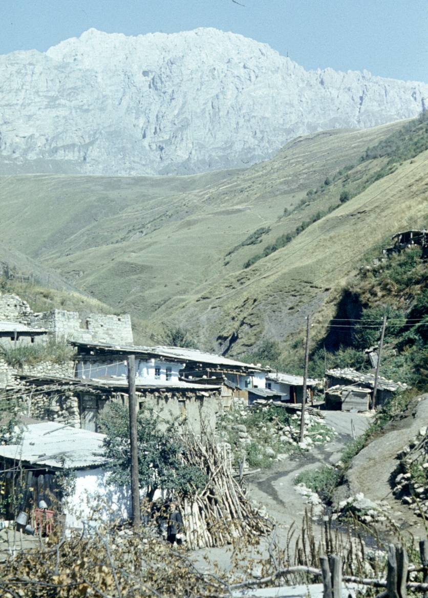 252.JPG
