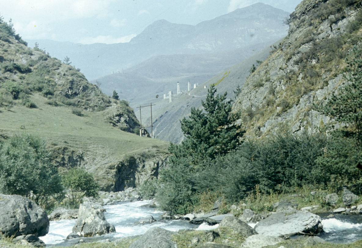 256.JPG