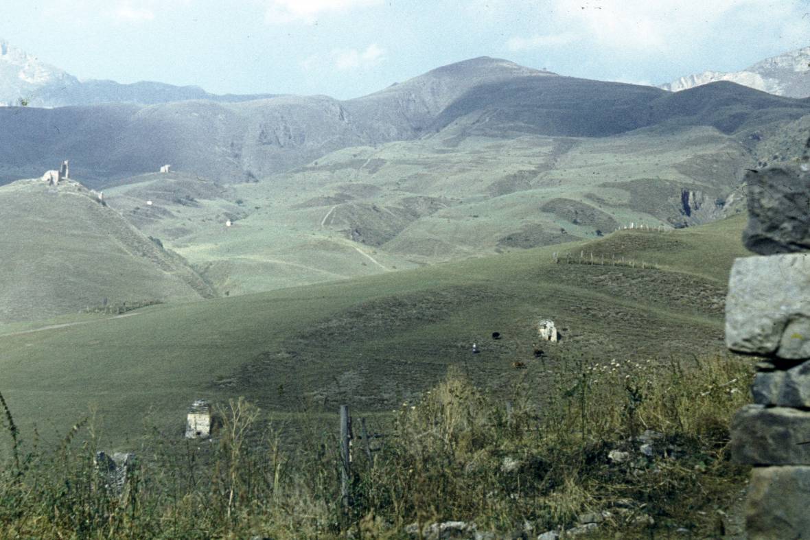 257.JPG