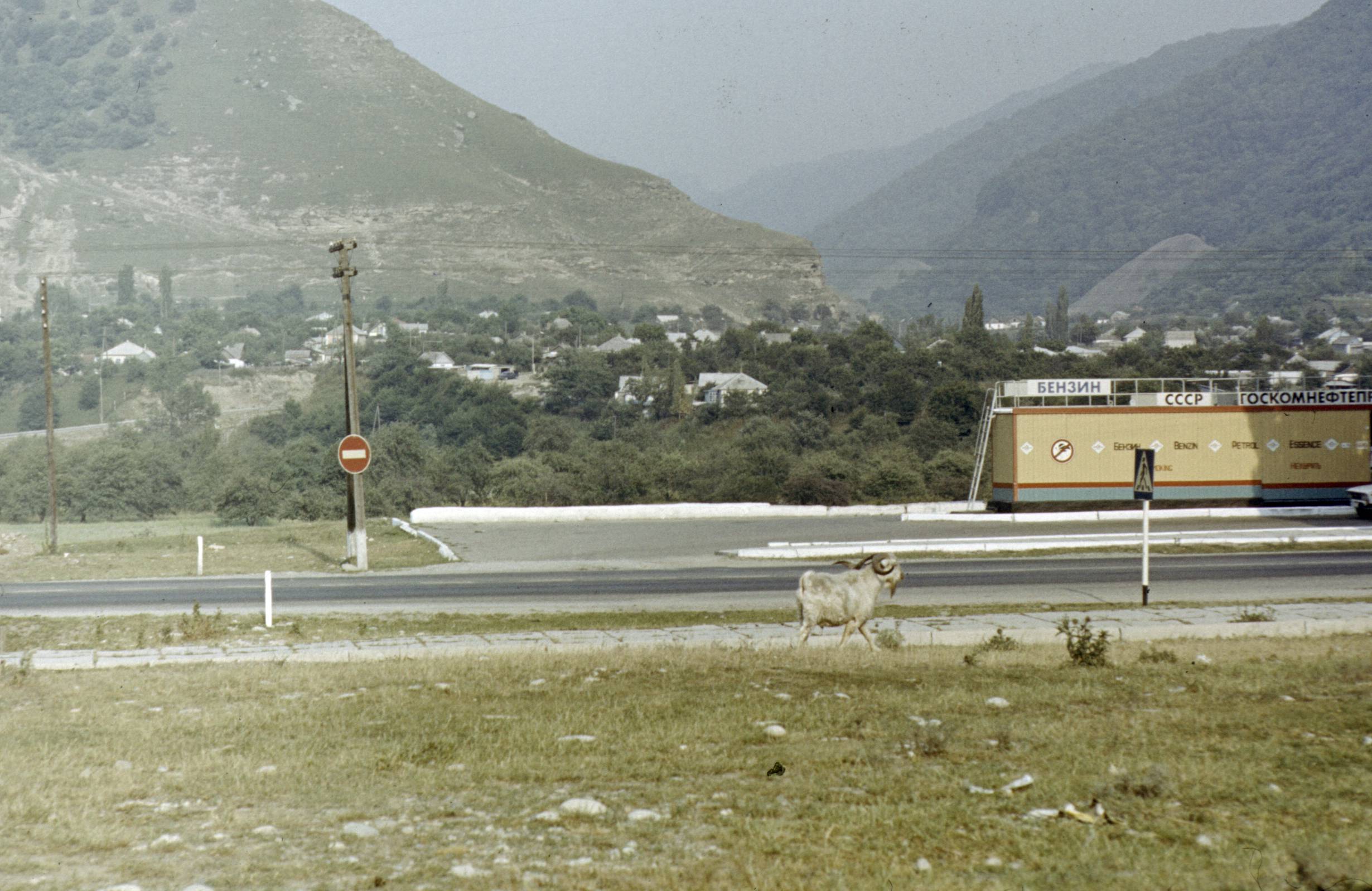 122.JPG